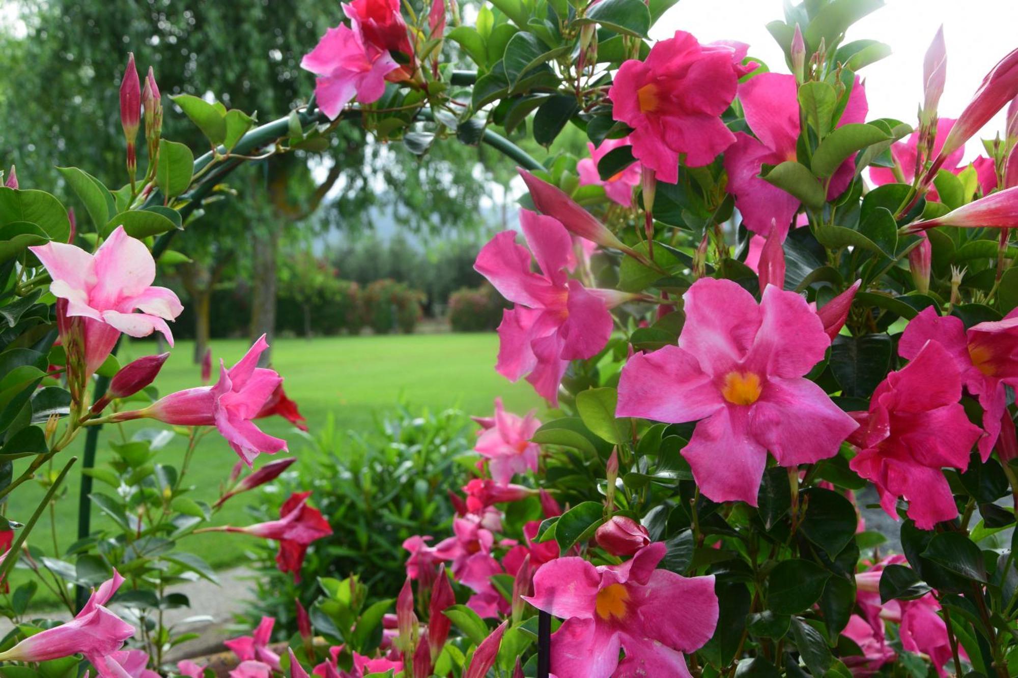 Bocci Farm stay Castiglione della Pescaia