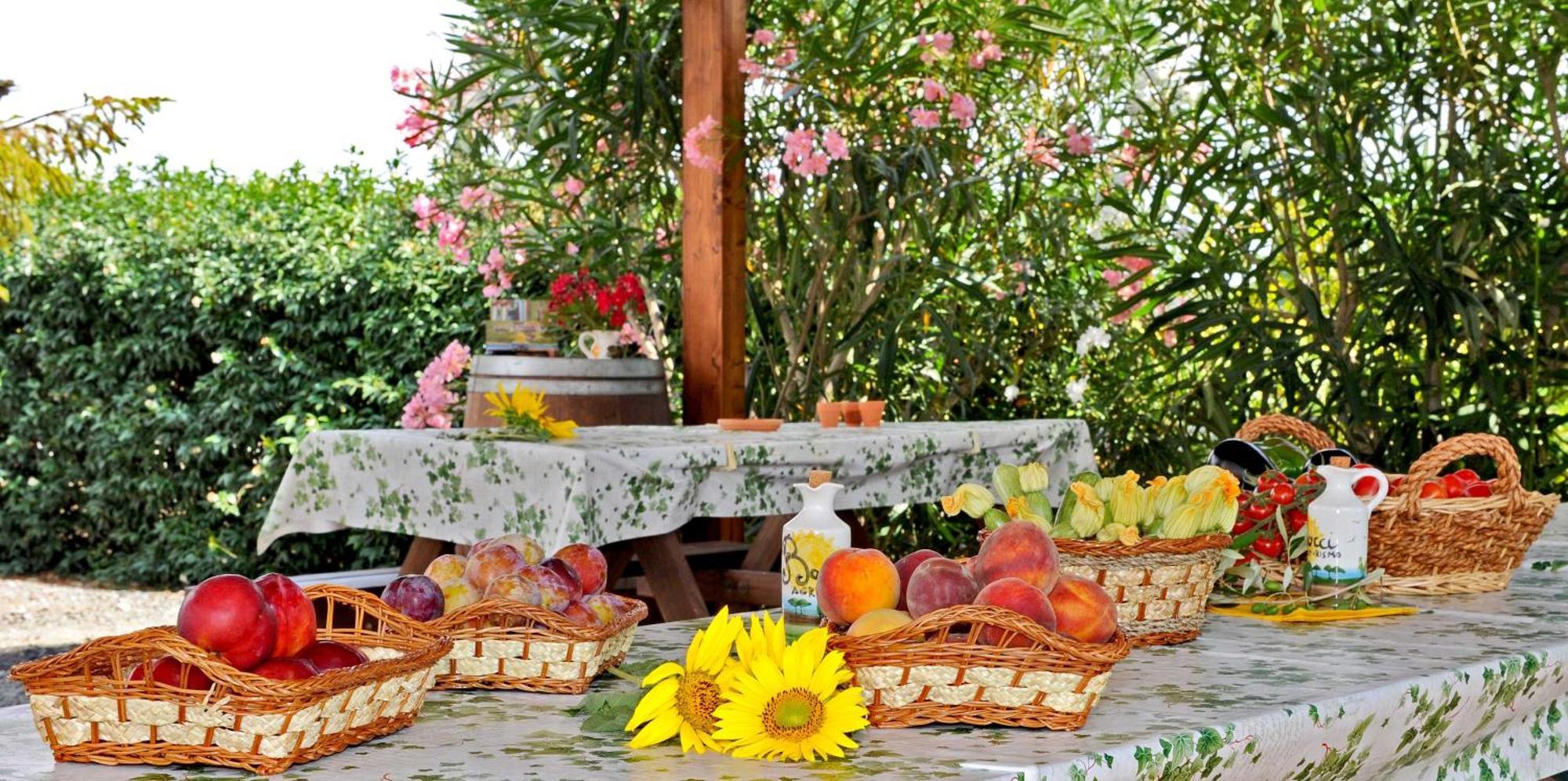 Bocci Farm stay *