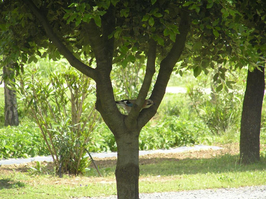 Farm stay Bocci Castiglione della Pescaia
