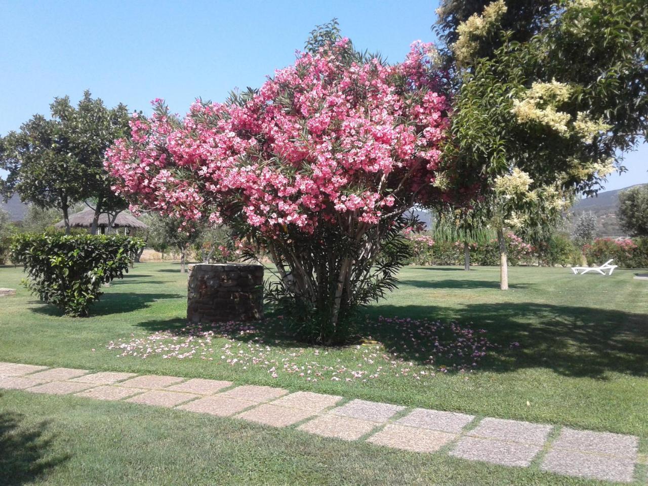 Bocci Farm stay Castiglione della Pescaia