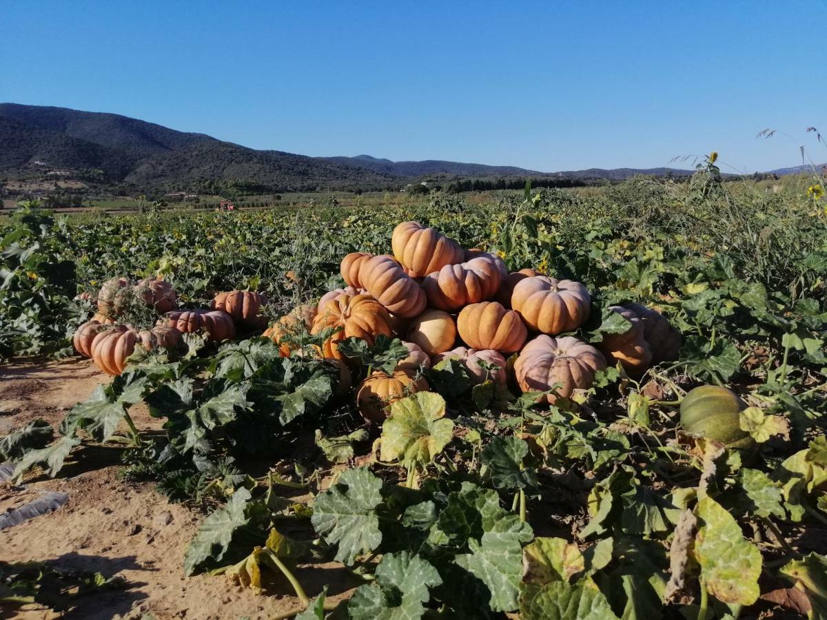 Bocci Farm stay Castiglione della Pescaia